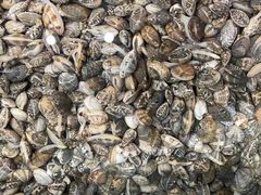-雅逸居海鲜小厨
