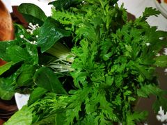 青菜拼盘-龍園涮肉(丰庆路店)