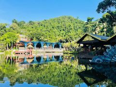 -西双版纳原始森林公园