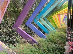 -合肥滨湖国家森林公园