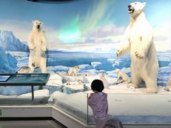 -陕西自然博物馆