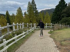 -神户市立六甲山牧场