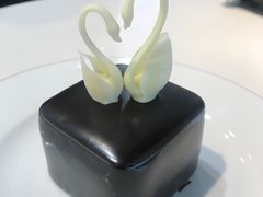 -BLACKSWAN黑天鹅(环球店)