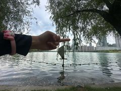 -天鹅湖体育公园