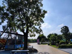 -森波拉奇妙世界