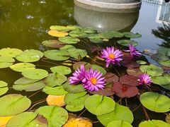 -国家植物园南园