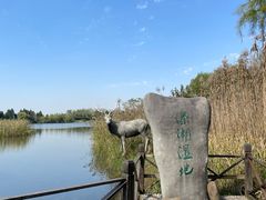 -溱湖国家湿地公园