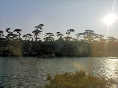 -罗红摄影艺术馆