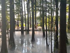 -东湖落雁景区