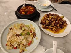 -陈麻婆豆腐总店