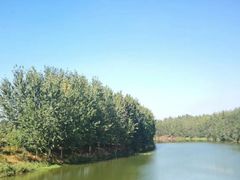 -五里湖湿地公园