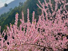 -狼牙山风景区