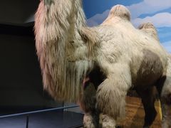 -天津自然博物馆