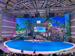 -珠海长隆海洋王国