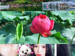 -广州莲花山旅游区