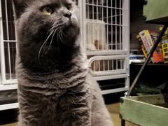 -初见咖啡(青大路店)