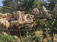 -石家庄市动物园