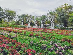 -丹樱生态园
