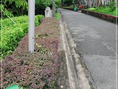 -纪念孙中山市政公园