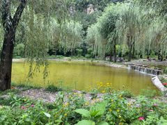 -沕沕水生态风景区