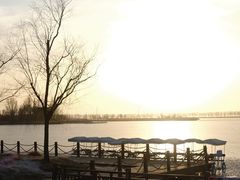 -野鸭湖国家湿地公园