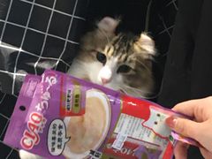 -1013 PET SHOP精品宠物商店(丁香店)