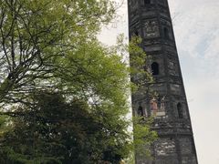 -上海佘山国家森林公园天马山园