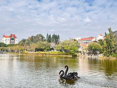 -厦门大学(思明校区)