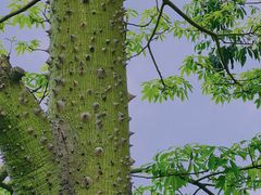 -白石龙音乐公园