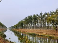 -东郊湿地公园