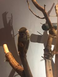-未来动物城动物主题公园(大悦城店)