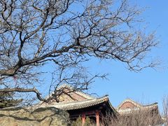 -香山公园