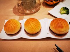-宝园酒家(美林M·LIVE天地东座店)