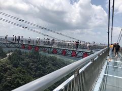 -梦幻奥陶纪景区