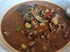 -甲鱼张甲鱼铺子(观沙岭店)