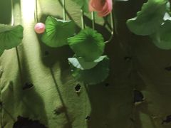 -六合居·明厨亮灶餐厅(成双大道店)