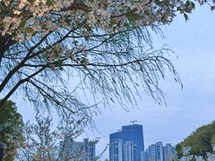 -龙美术馆(西岸馆)
