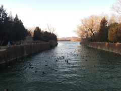 -颐和园