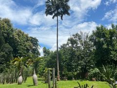 -中国科学院西双版纳热带植物园