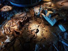 -自贡恐龙博物馆