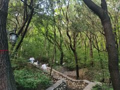 -千佛山风景名胜区
