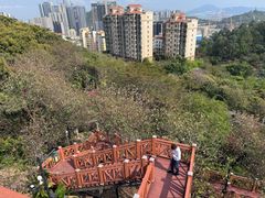 -小南山公园