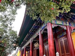 -宝通禅寺