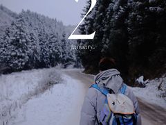 -武陵山森林公园