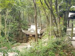 -天虹购物中心(石路店)