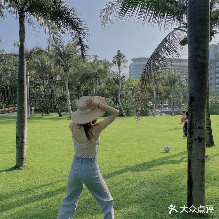 🌴 三亚艾迪逊· 私人沙滩边的椰林也太好拍了