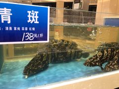 -双井轩(双井店)