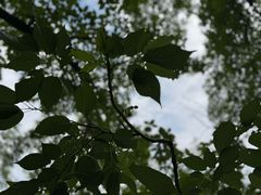 -白塘生态植物园
