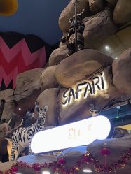 -卡通尼·Safari非洲探索乐园·生日会(金桥国际商业广场店)