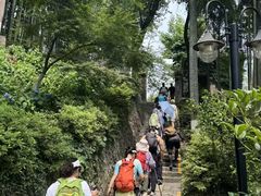 -莫干山风景区